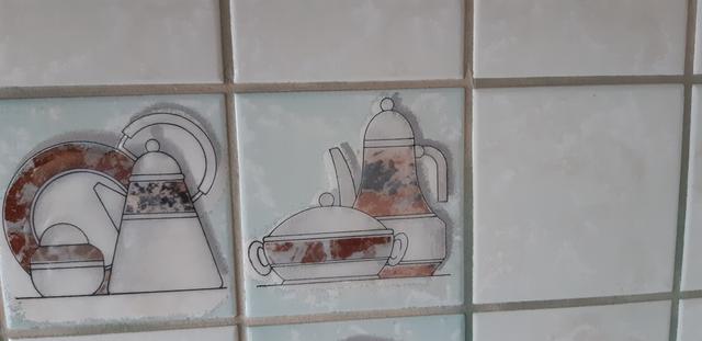 Picture for question