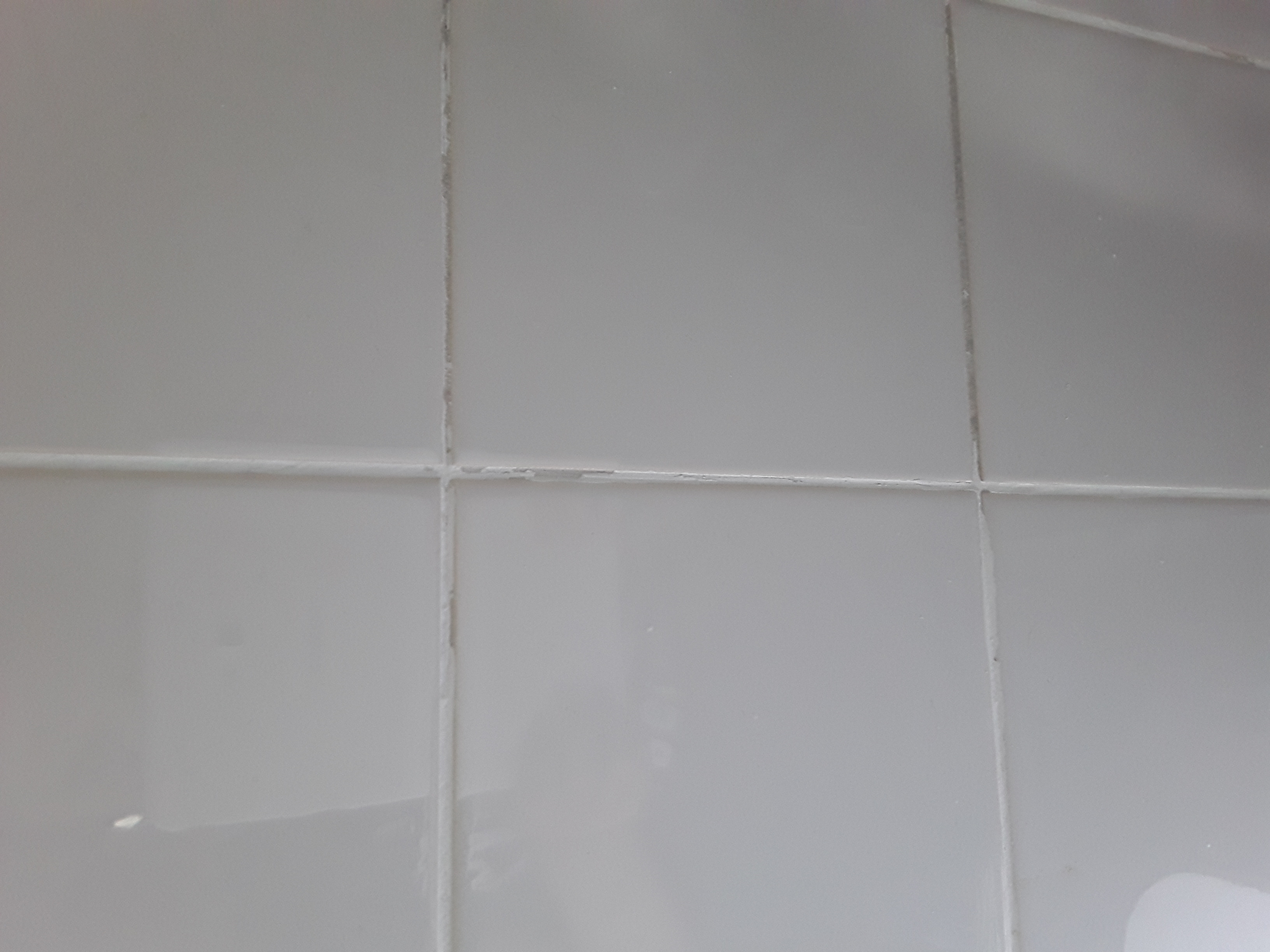 Picture for question