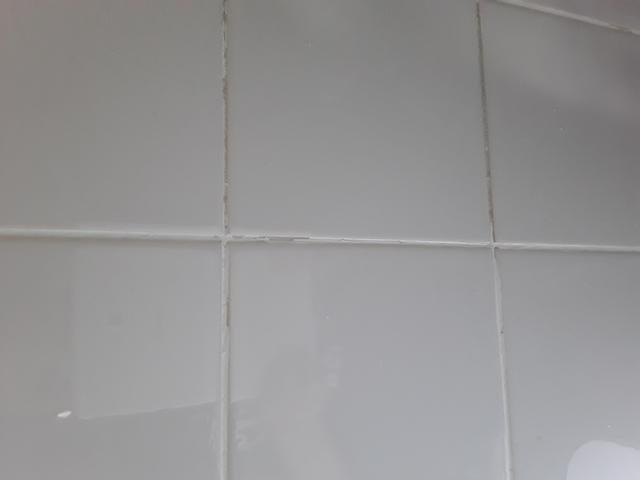 Picture for question