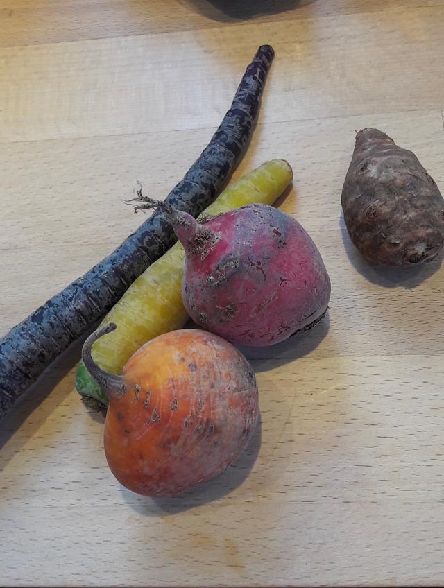 Picture for question