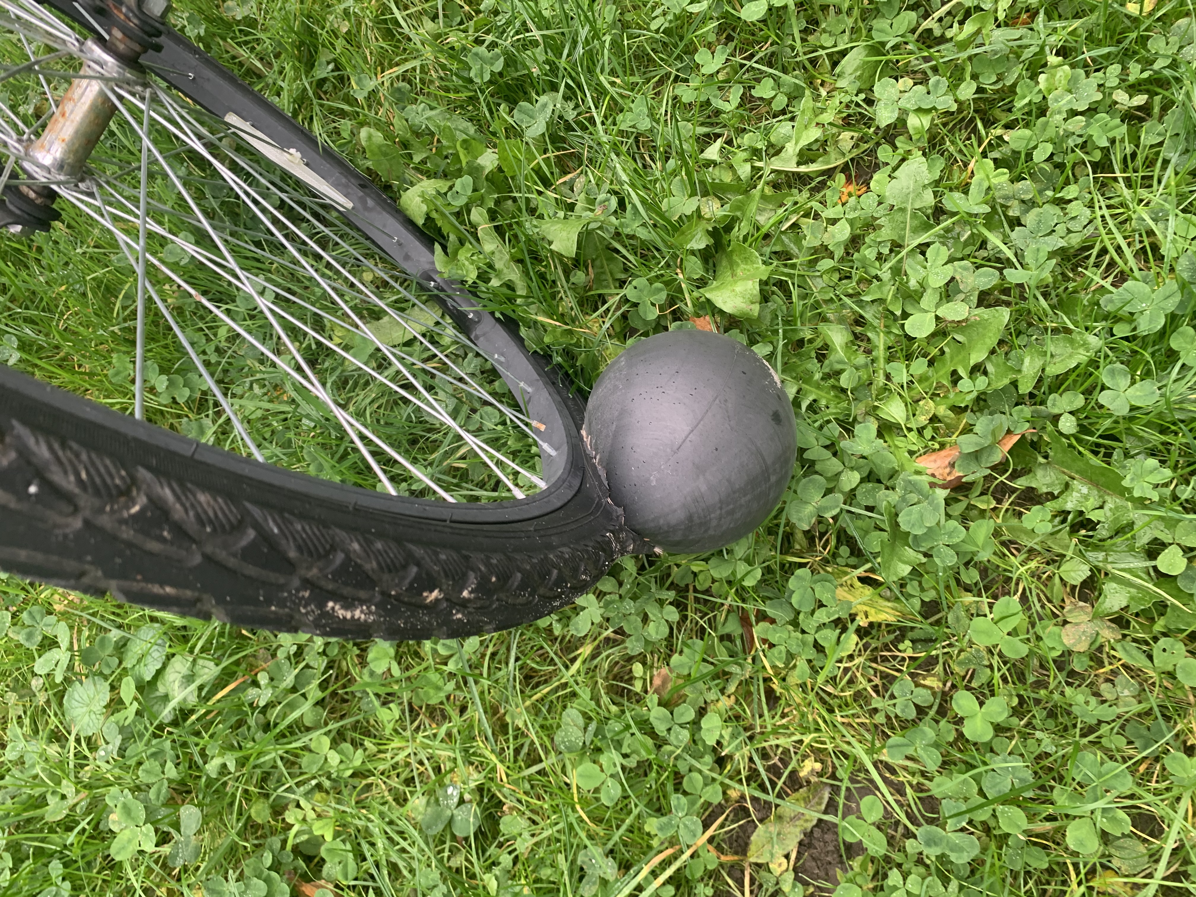 Picture for question