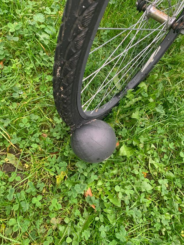 Picture for question