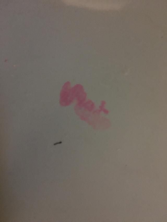 Picture for question