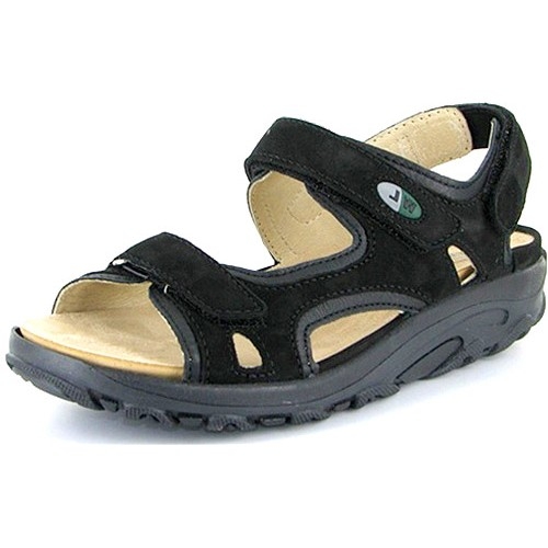 Picture for question