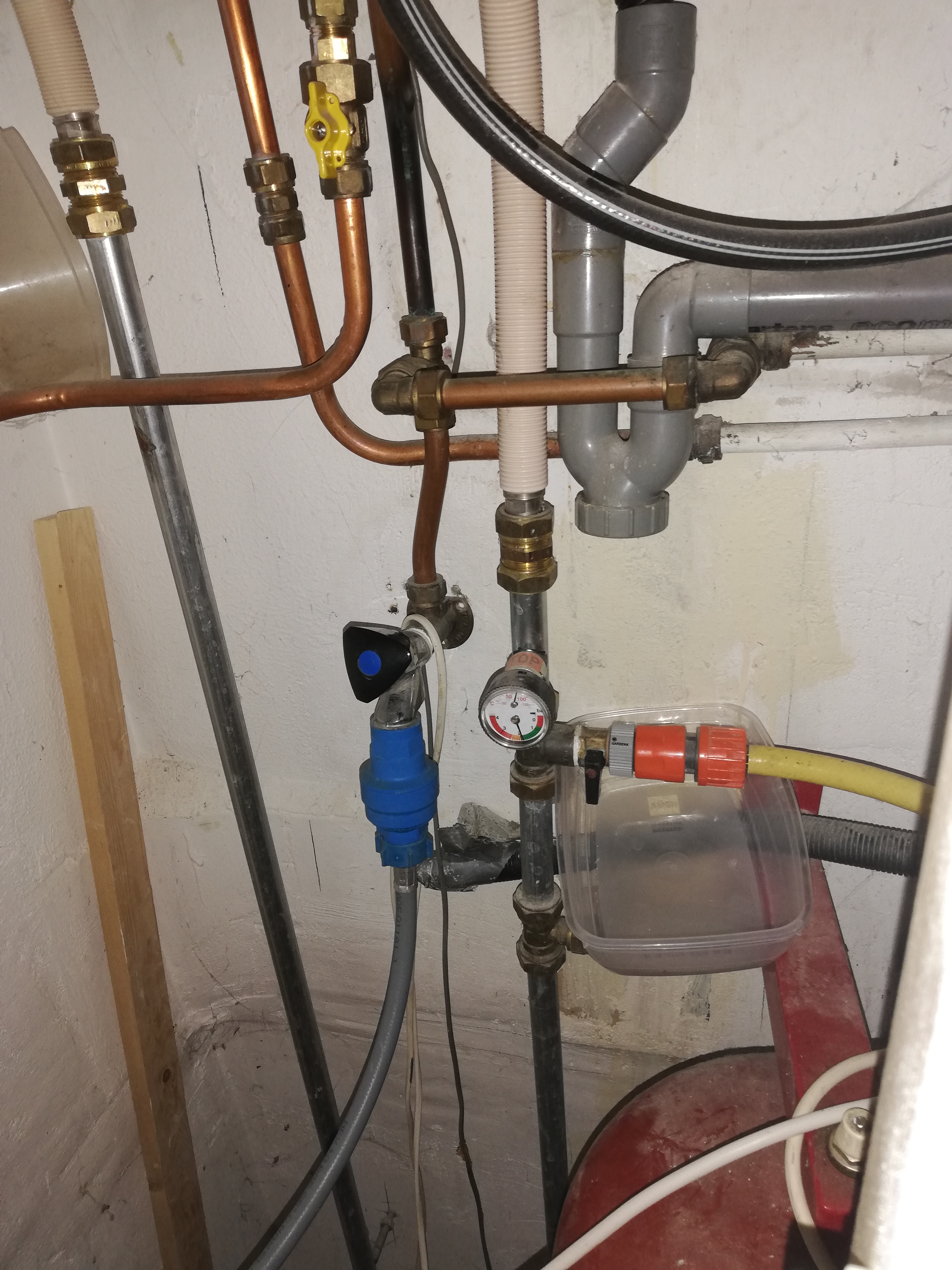 Picture for question