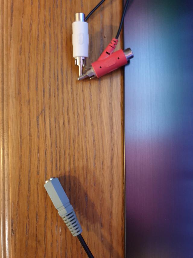 Picture for question