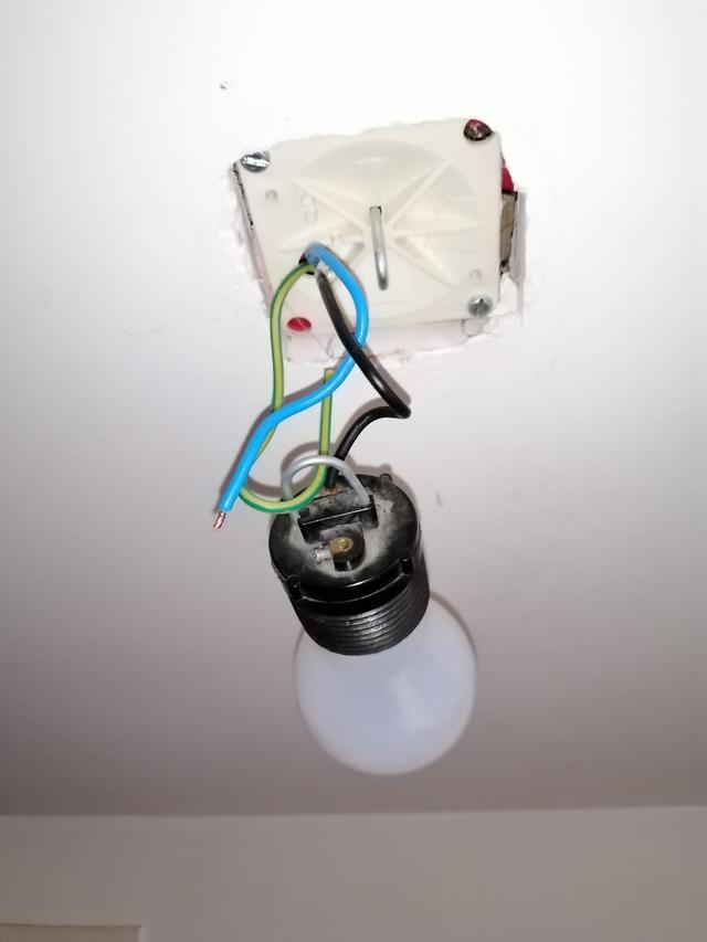 Picture for question