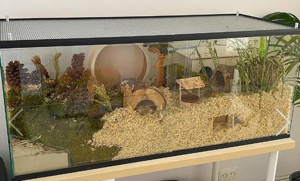 Plaatje bij antwoord