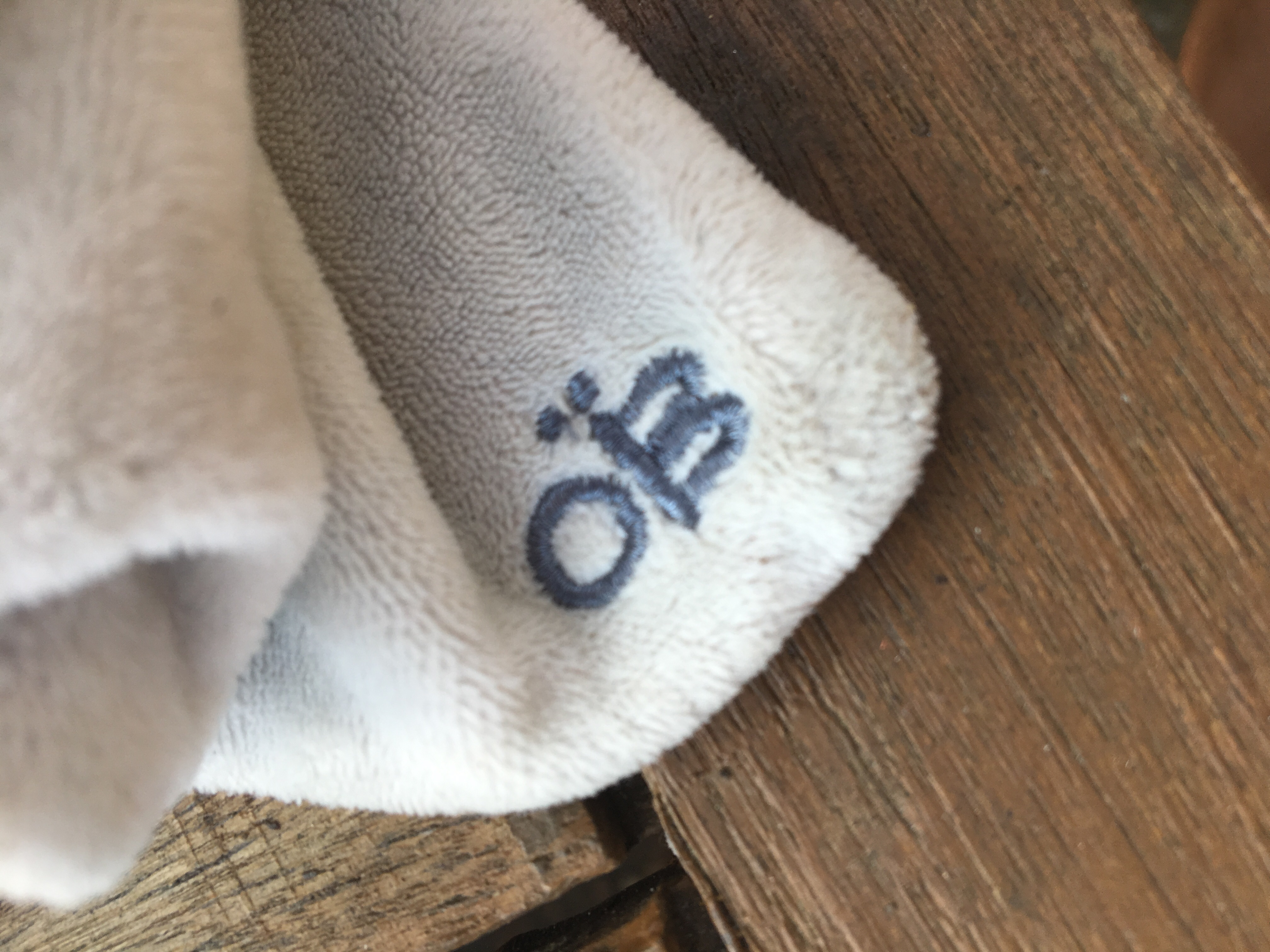 Picture for question