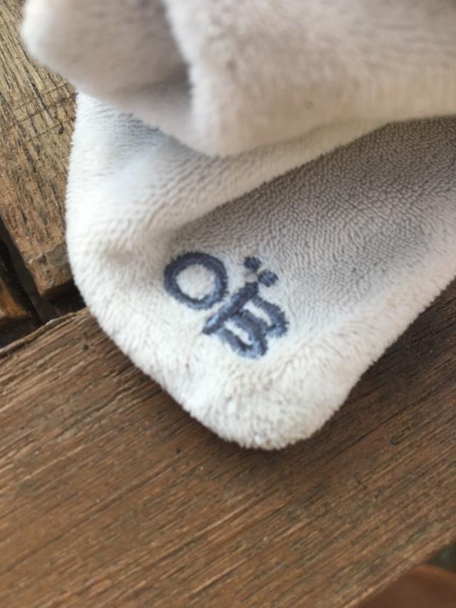 Picture for question