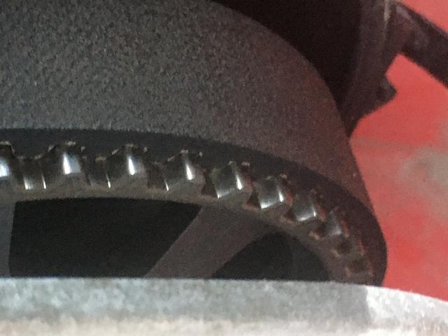 Picture for question