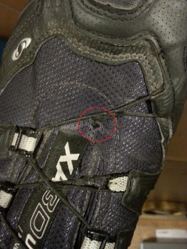 Picture for question