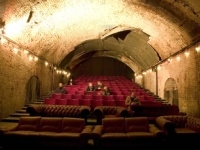 Picture for question