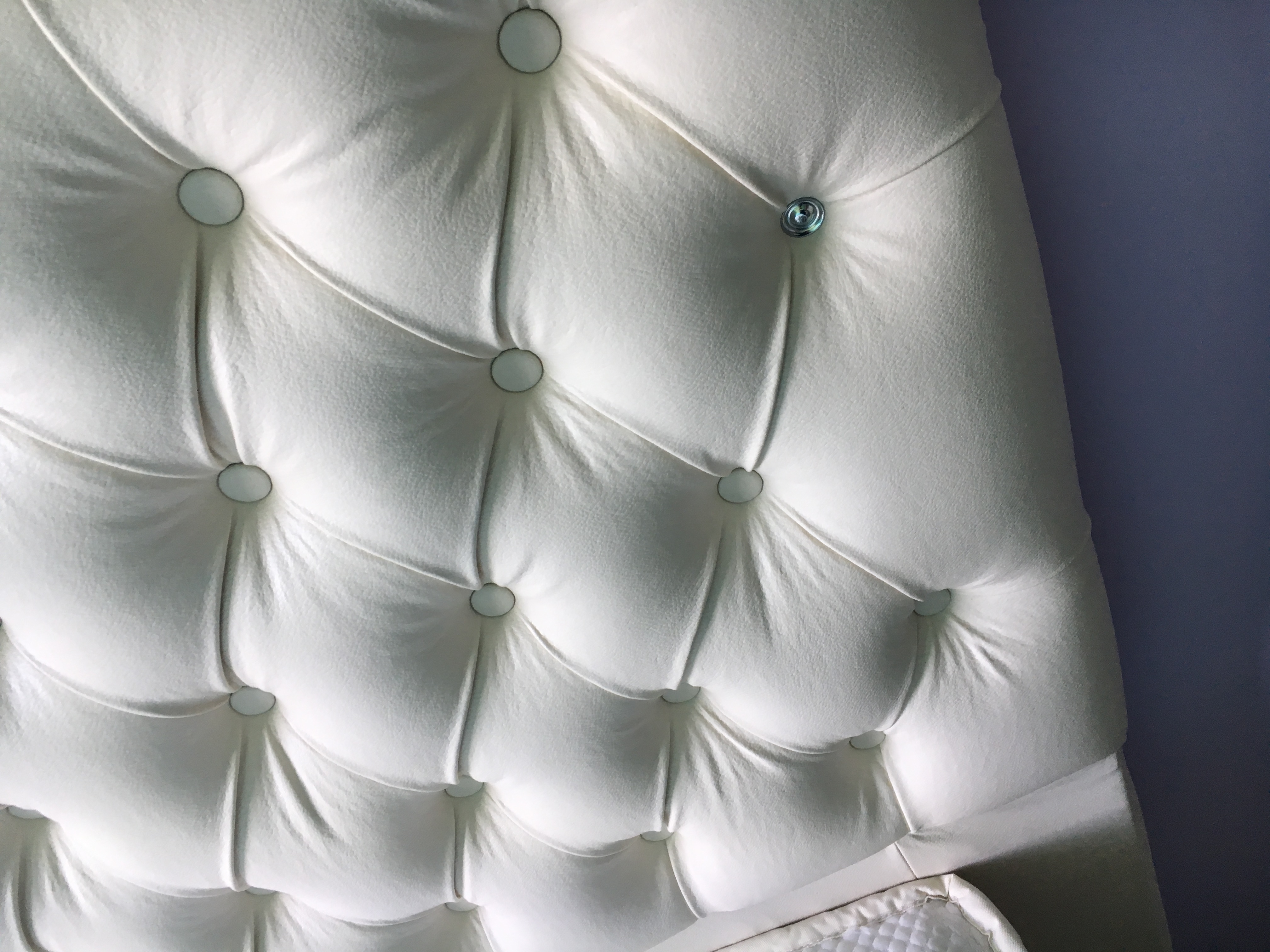 Picture for question