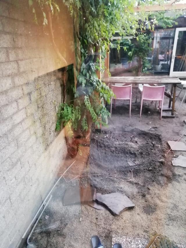 Picture for question