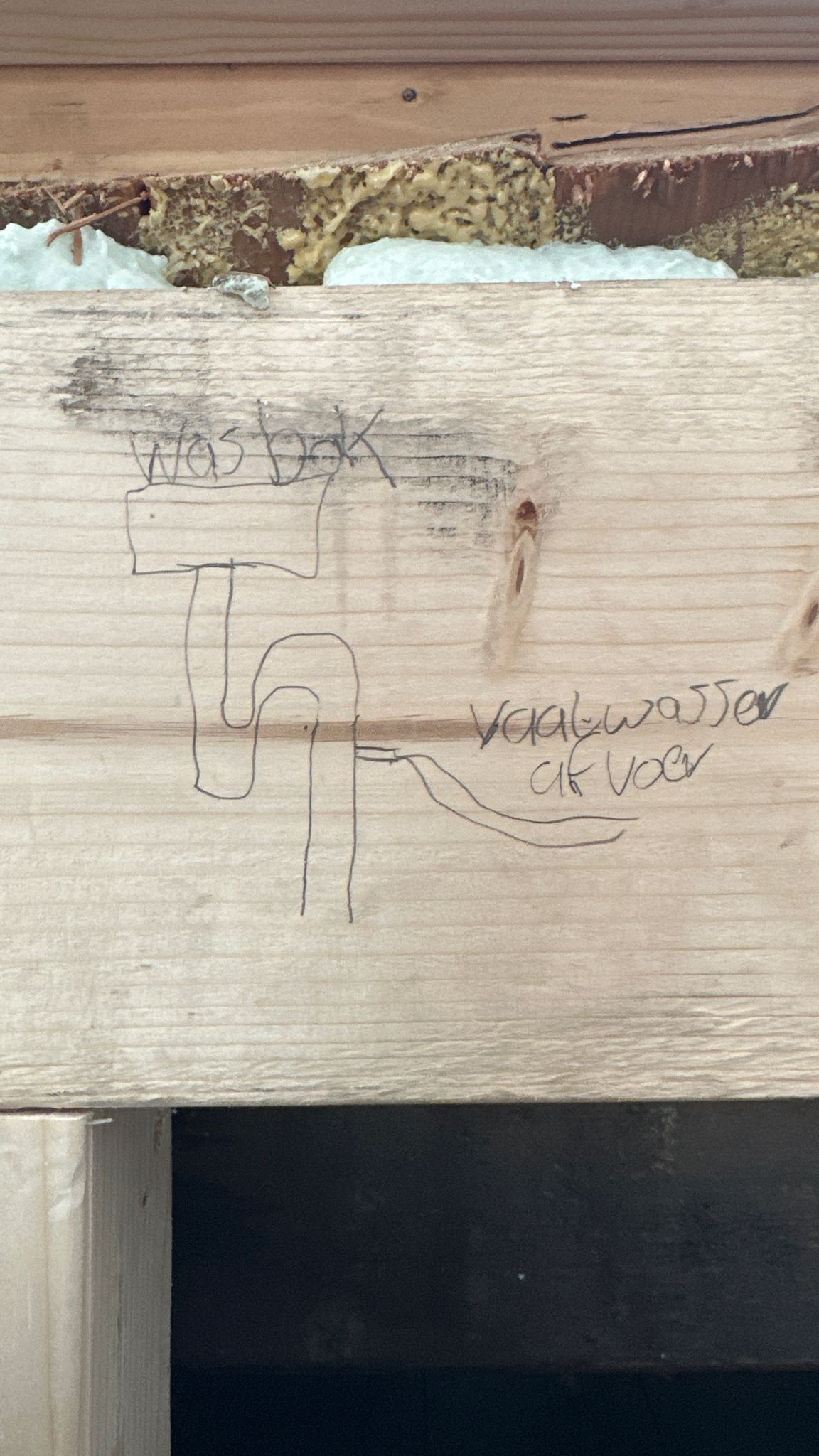 Picture for question