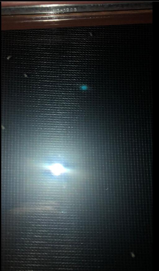 Picture for question