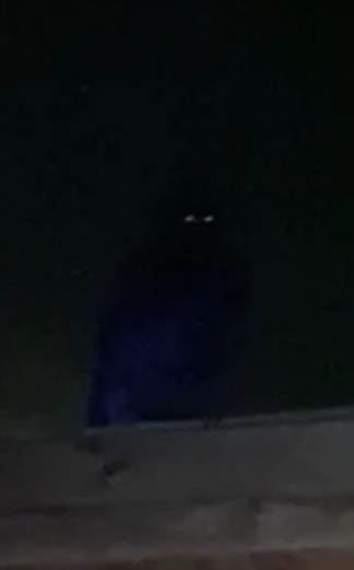 Picture for question