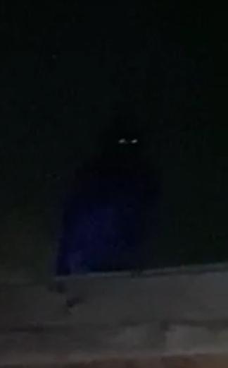 Picture for question