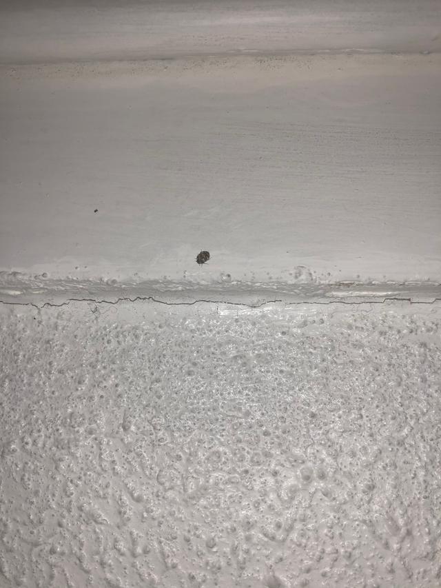 Picture for question