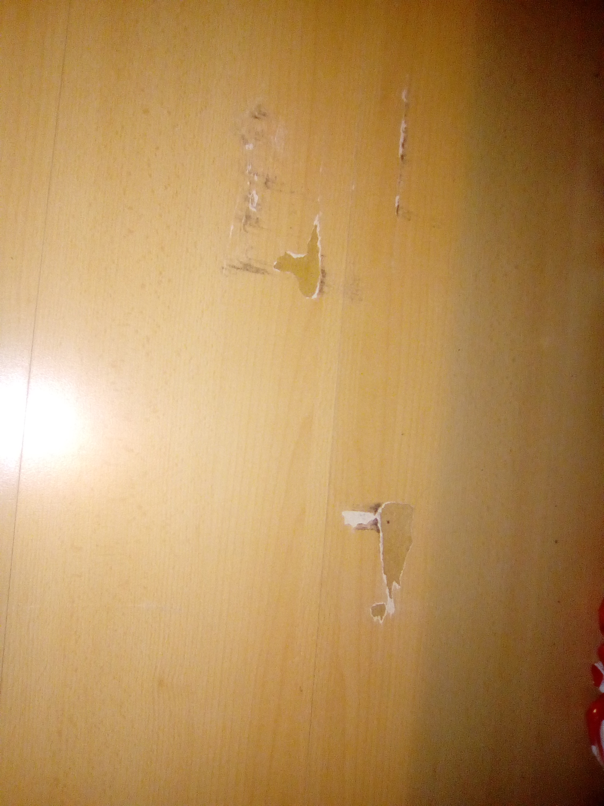 Picture for question