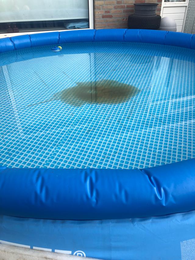 Picture for question