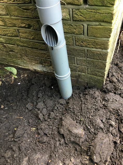 Picture for question