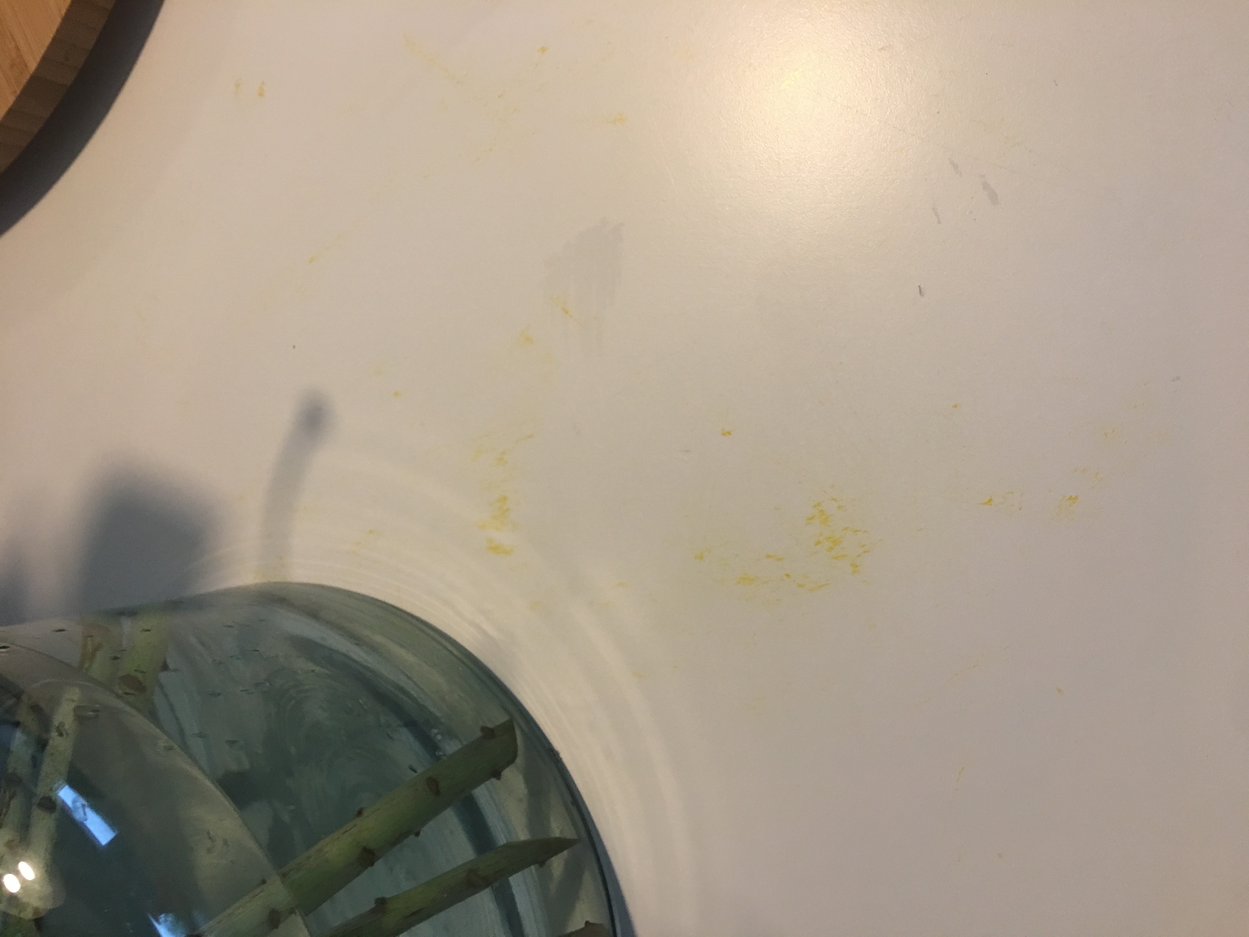 Picture for question