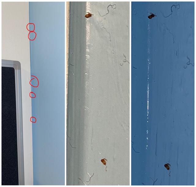 Picture for question