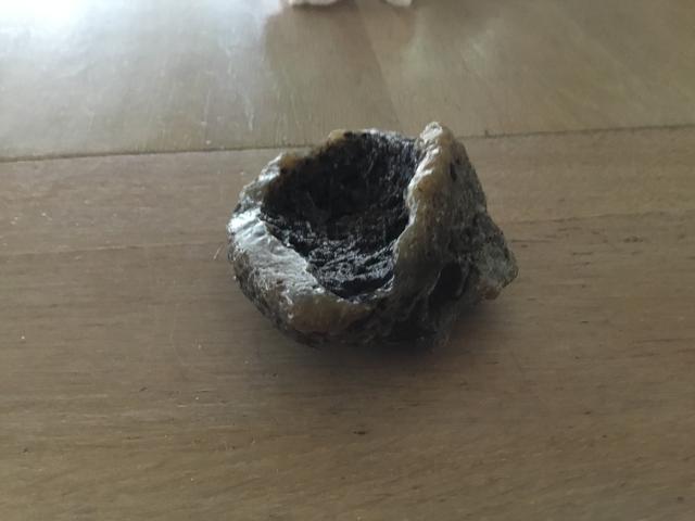 Picture for question