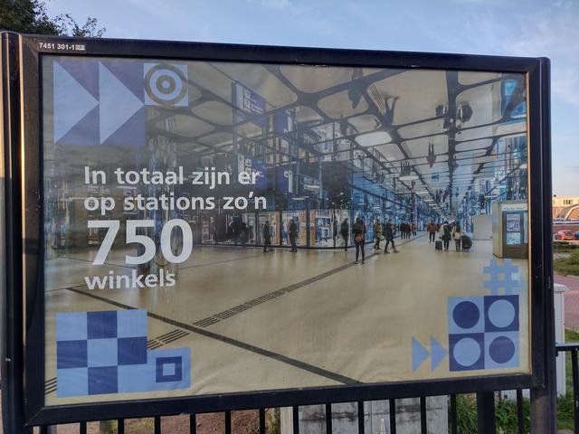 Picture for question