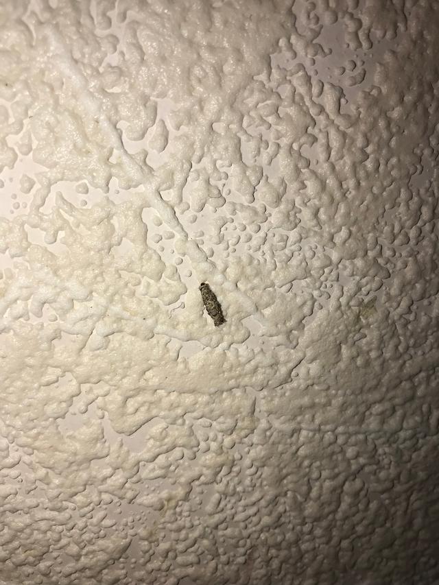 Picture for question