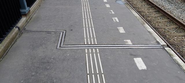 Picture for question