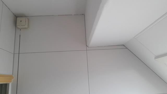 Picture for question