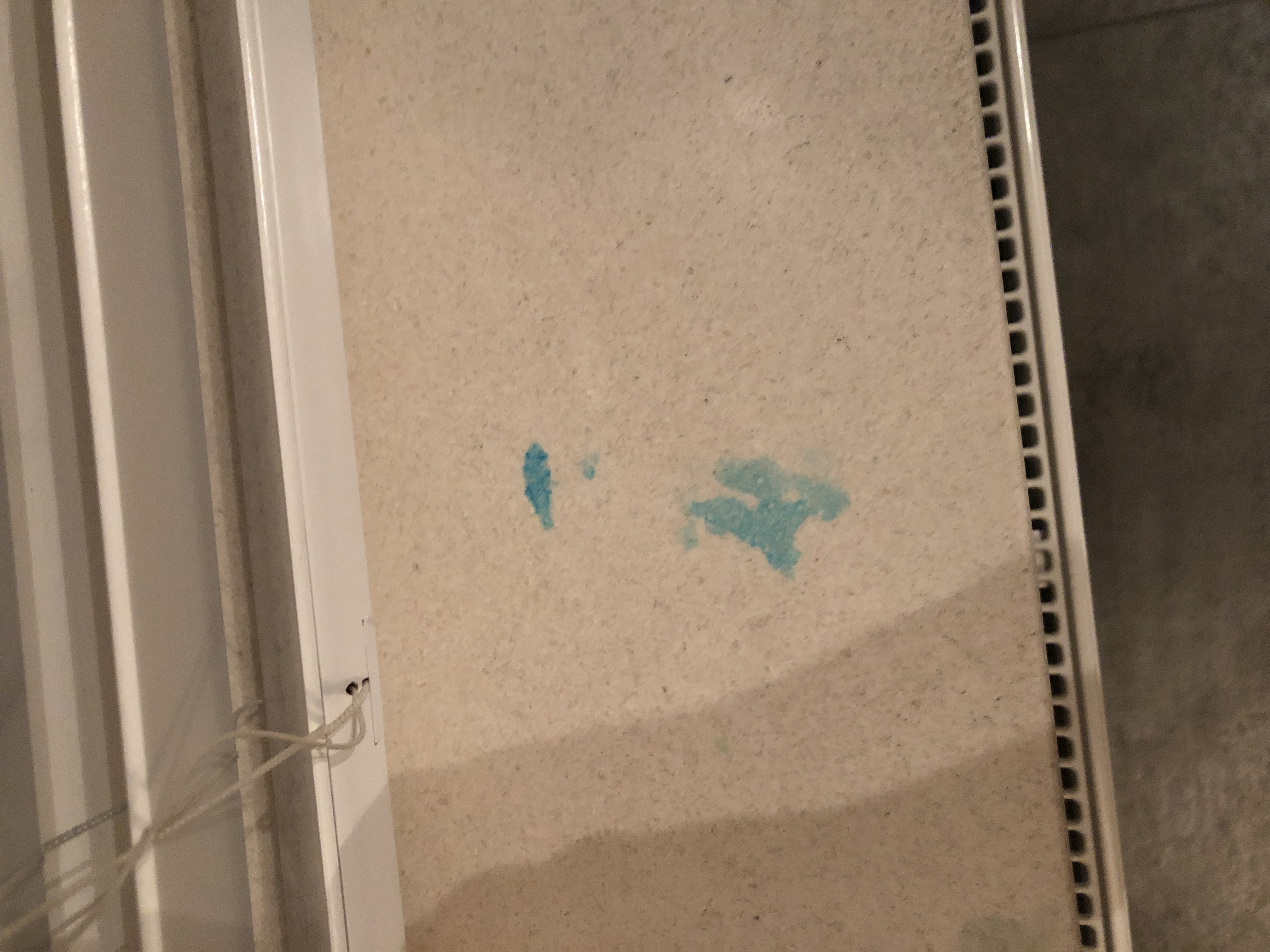 Picture for question