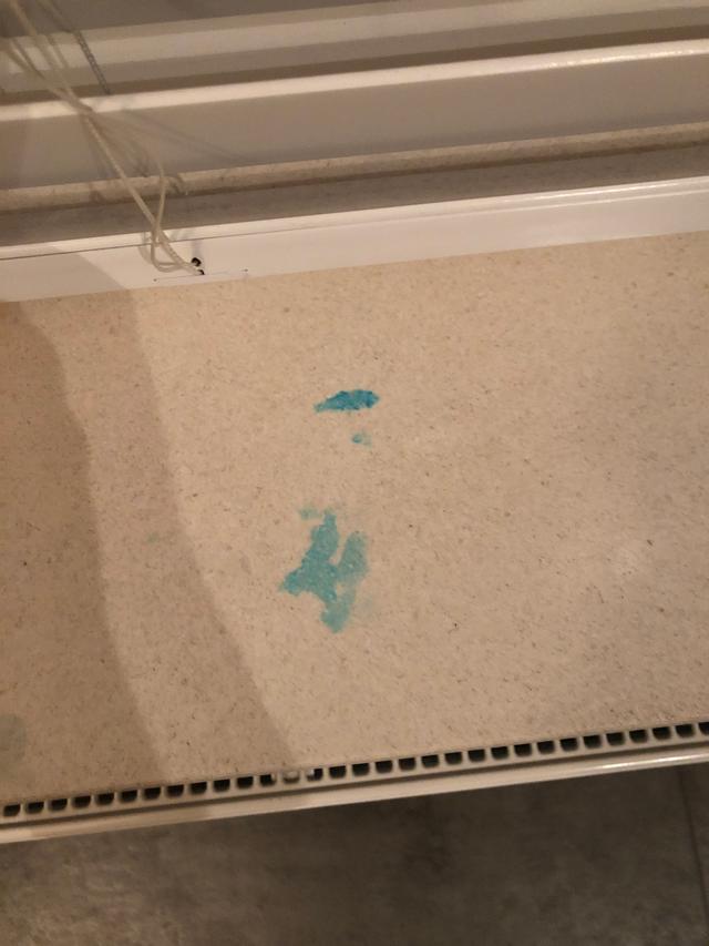 Picture for question