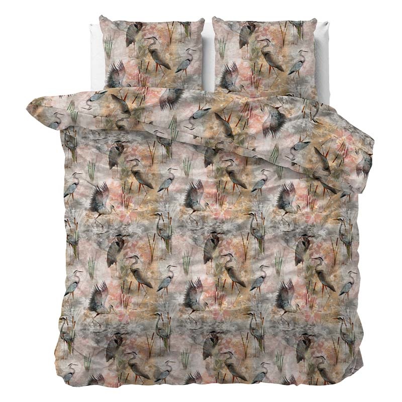 Picture for question