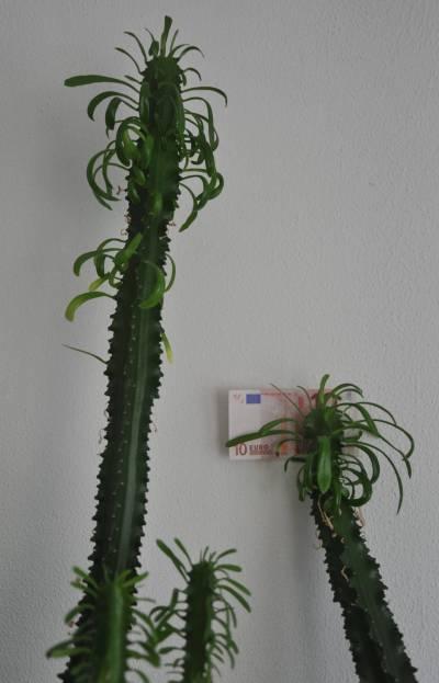 Picture for question