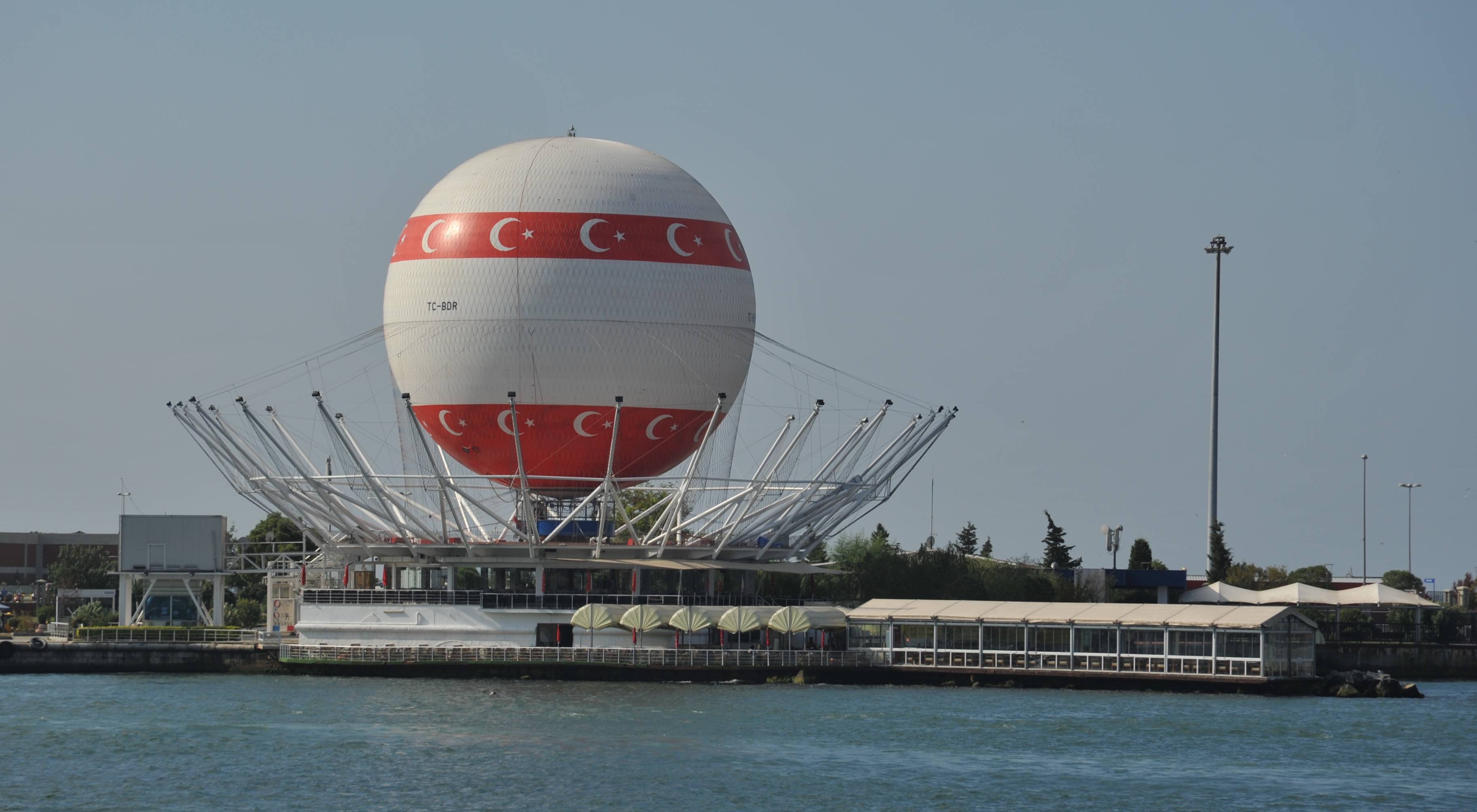 Picture for question