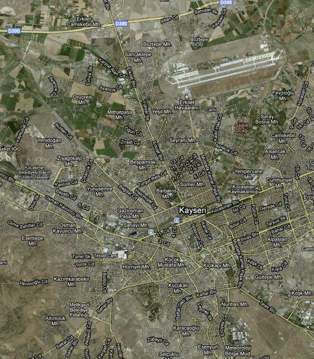 Picture for question