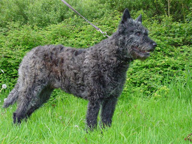 Plaatje bij antwoord