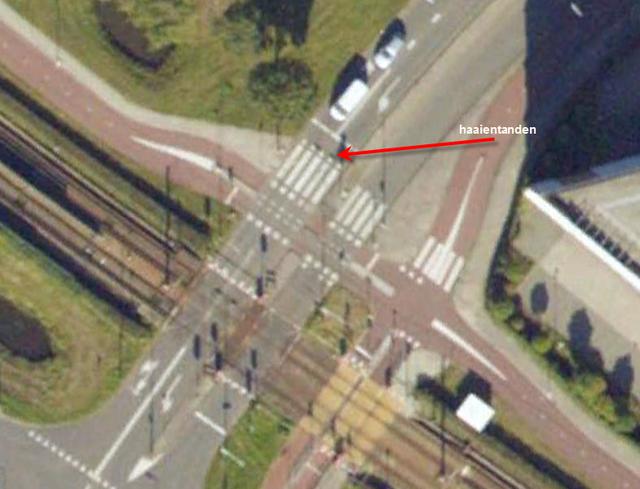 Picture for question