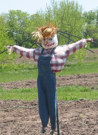 Plaatje bij antwoord