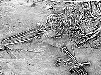 Plaatje bij antwoord