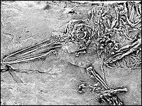 Plaatje bij antwoord