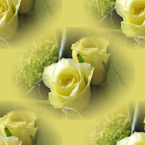 Picture for question