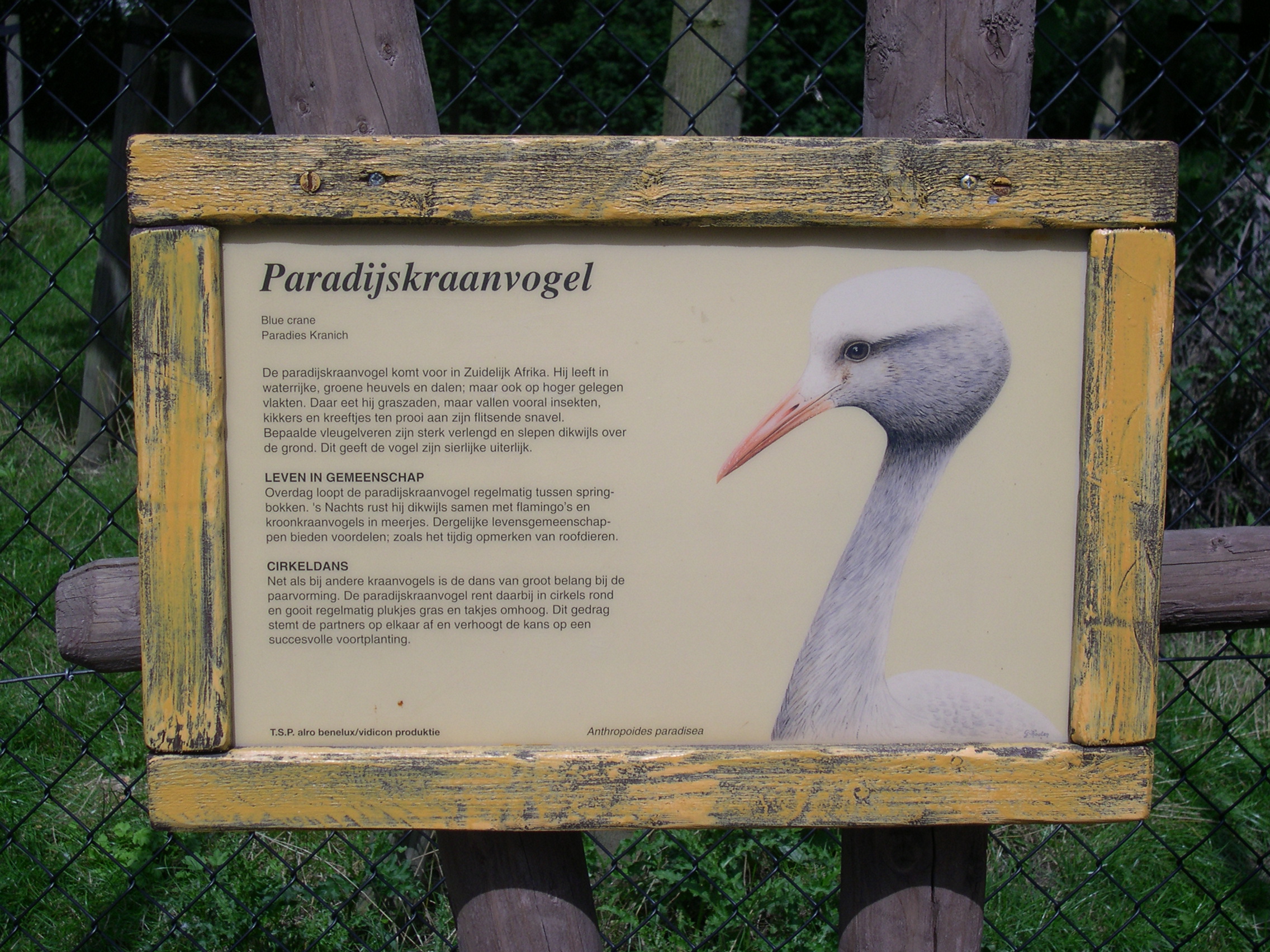 Plaatje bij antwoord