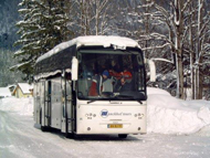 Picture for question