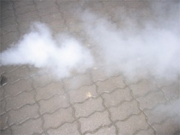 Picture for question