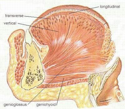 Plaatje bij antwoord